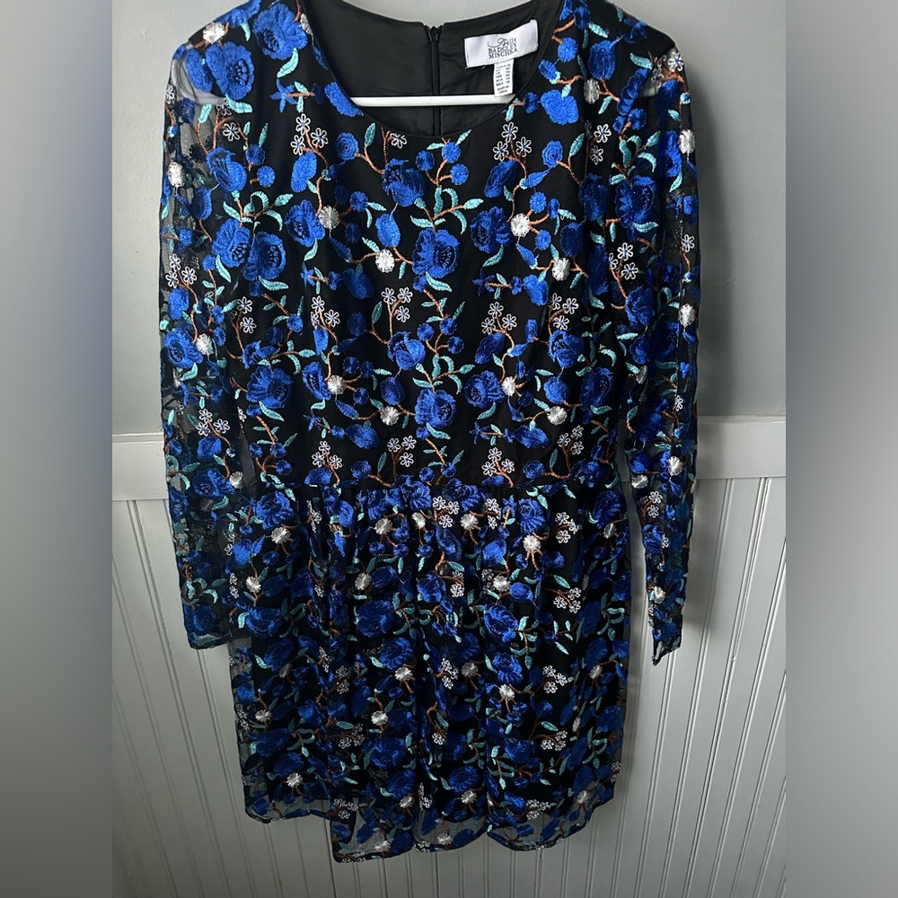 Badgley Mischka Beautiful embroidery design dress size 10